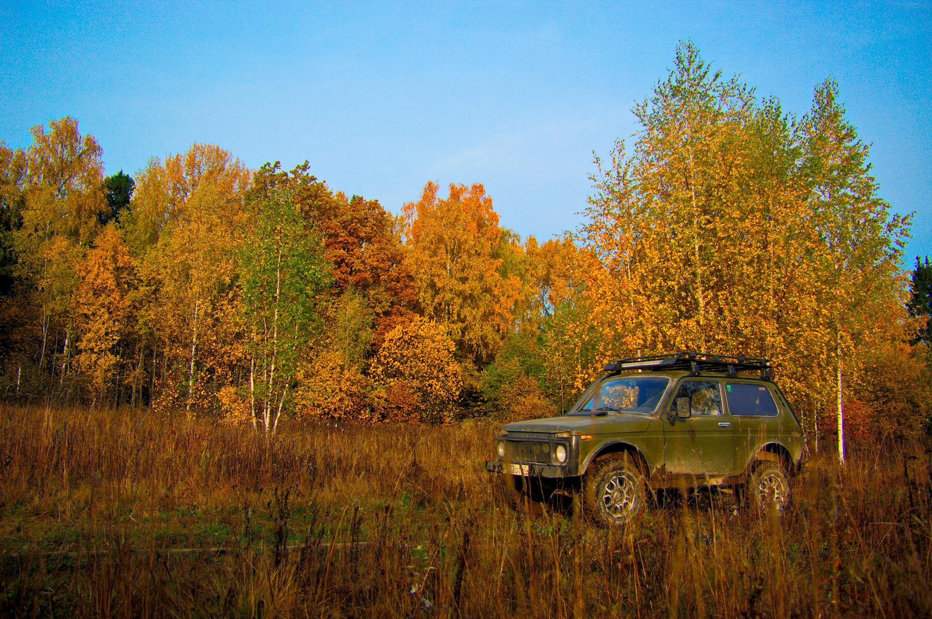 Над нивами. Lada Niva осень. Нива осенью. Нива в лесу. Нива в осеннем лесу.