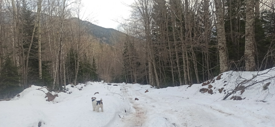 Фото в бортжурнале Mitsubishi Pajero (4G)