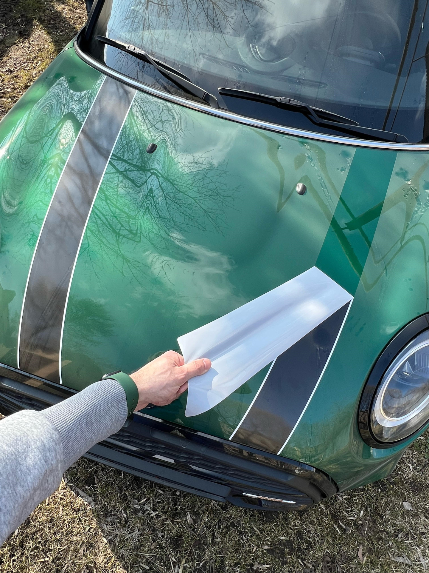 Всё снялось супер легко, без следов на ЛКП и остатков клея. Поверхность пыльная, поэтому и след виден — MINI Cooper Mk III