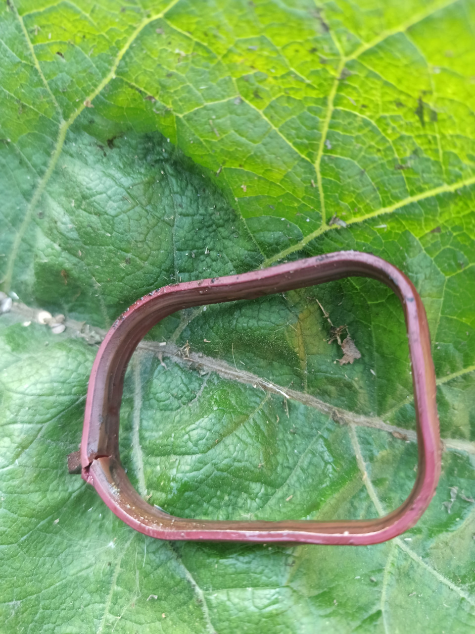 Течь антифриза — Mazda 3 (1G) BK, 2 л, 2007 года | поломка | DRIVE2