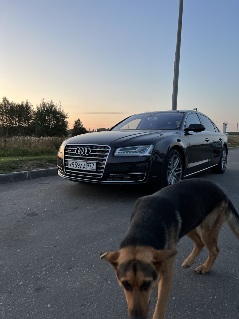 Челябинск — Мск — Audi A8 (D4), 6,3 л, 2016 года | путешествие | DRIVE2