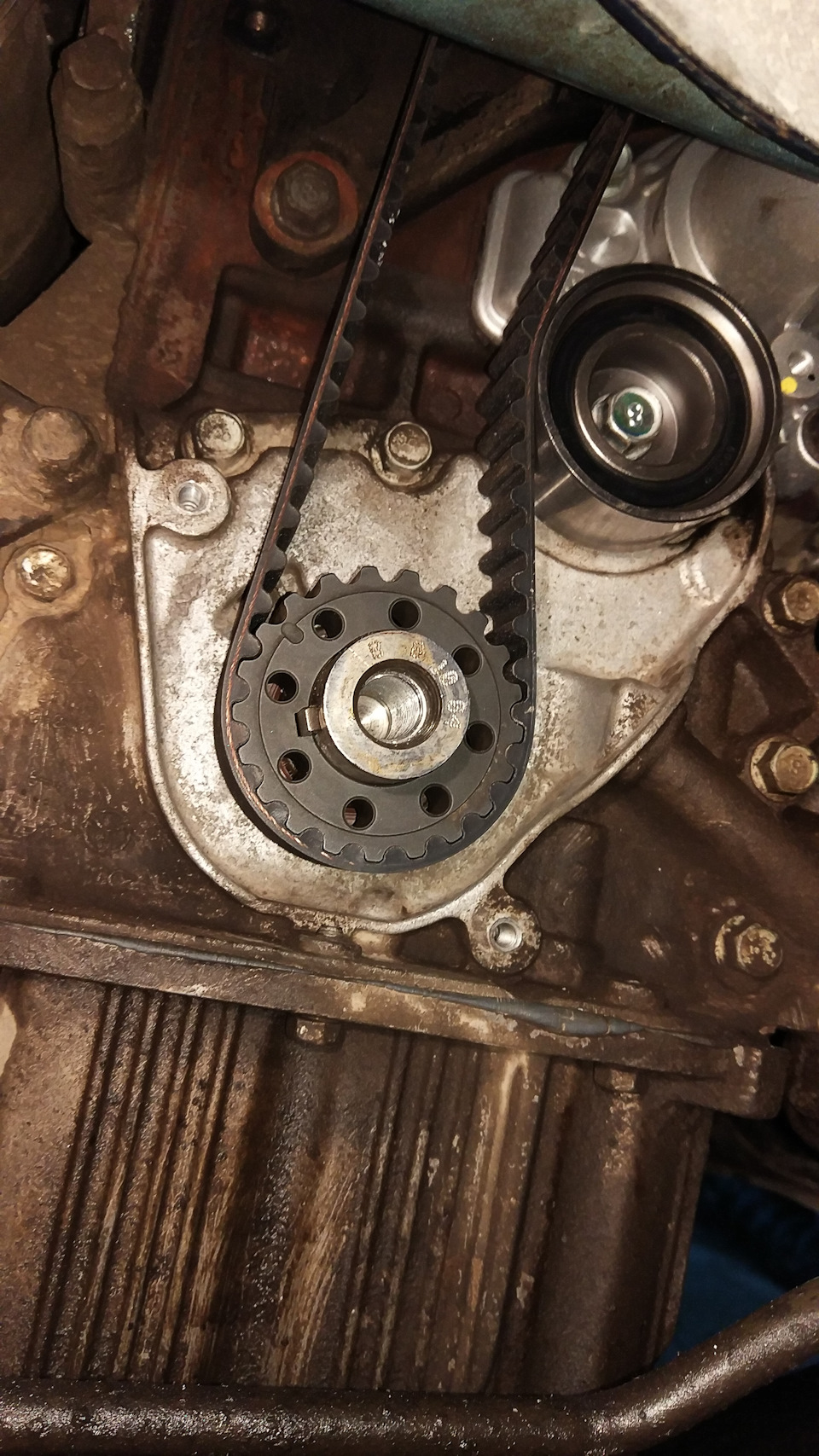 Ремень ГРМ Gates 5457XS на месте — Hyundai Tucson (JM). Запчасти на фото: 5457XS