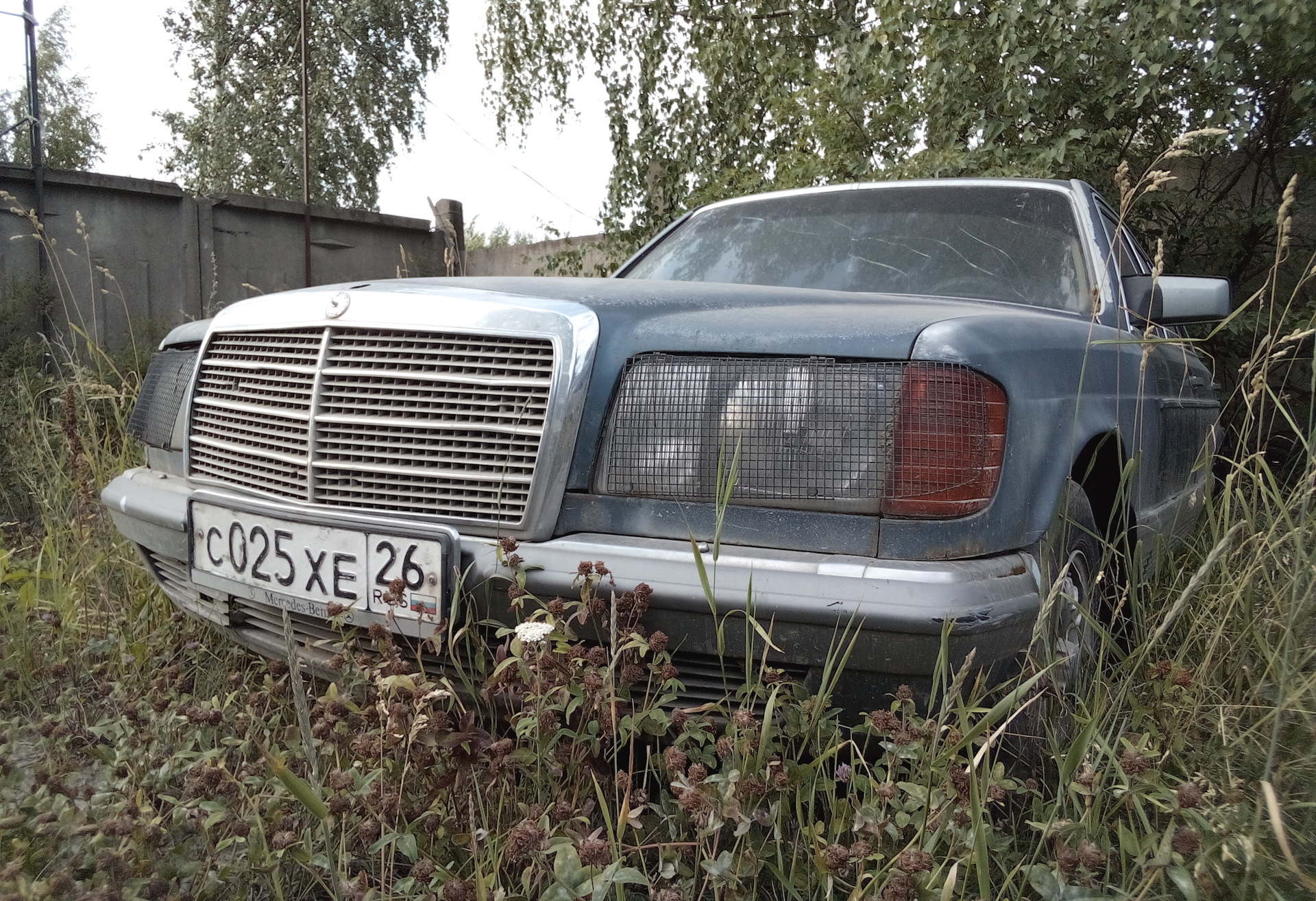 Король умирает: Mercedes W126 на обочине промзоны — Сообщество «Брошенные  Машины» на DRIVE2