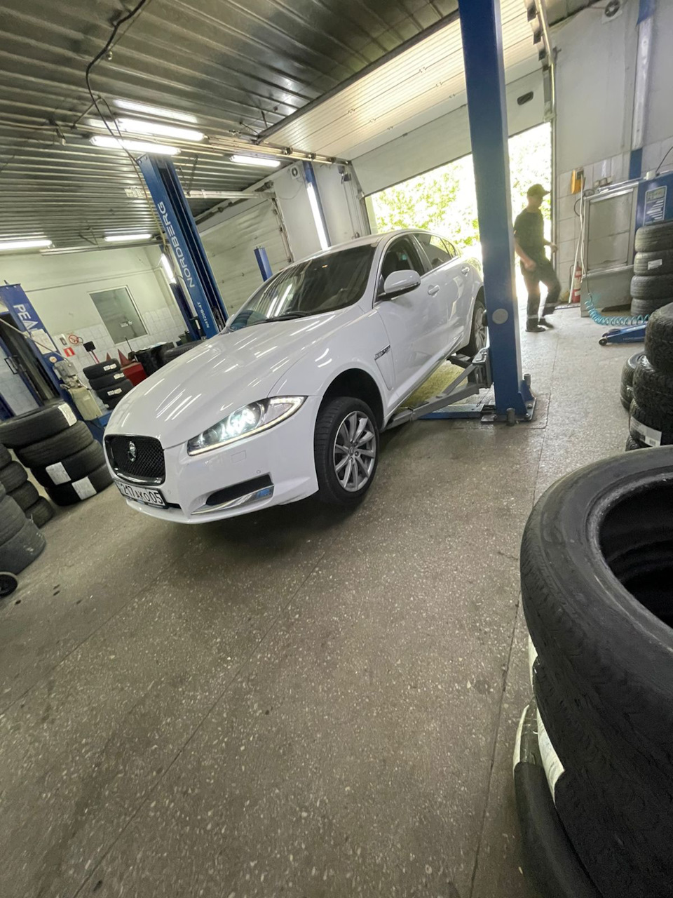 Подарки для кота: летняя резина — Jaguar XF (1G), 2 л, 2013 года ...