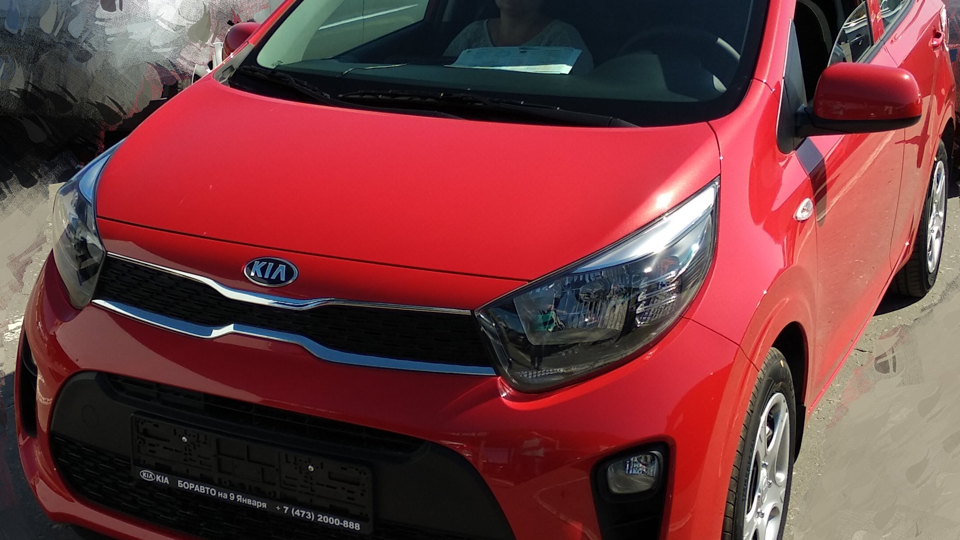 KIA Picanto (3G) 1.2 бензиновый 2018 | Пикачу на DRIVE2