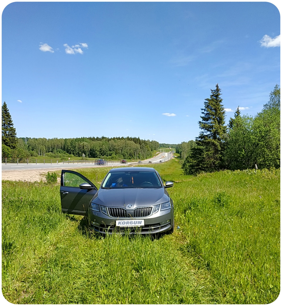 𝟙𝟘𝟠 ⋞ Подмосковный Сафари-парк ⋟ — Skoda Octavia A7 Mk3, 1,4 л, 2018  года | путешествие | DRIVE2