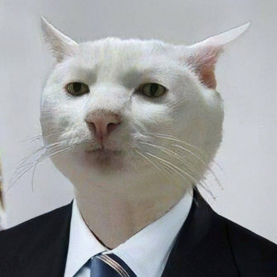 Мем грустный котик