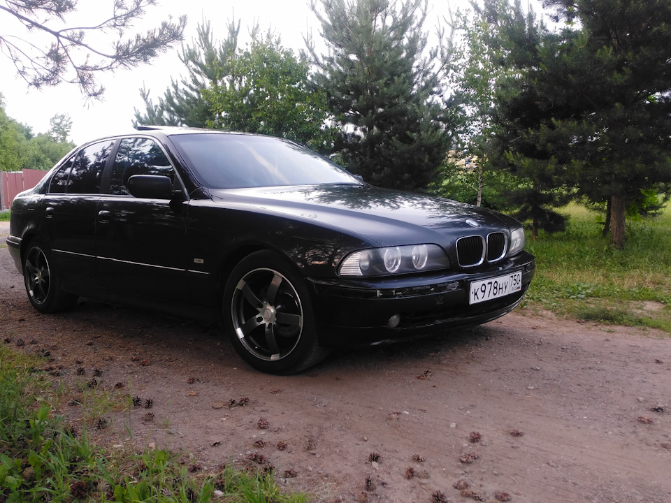 Фото в бортжурнале BMW 5 series (E39)