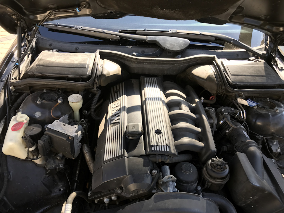 Почистил подкапотку — BMW 5 series (E39), 2,5 л, 1996 года | мойка | DRIVE2