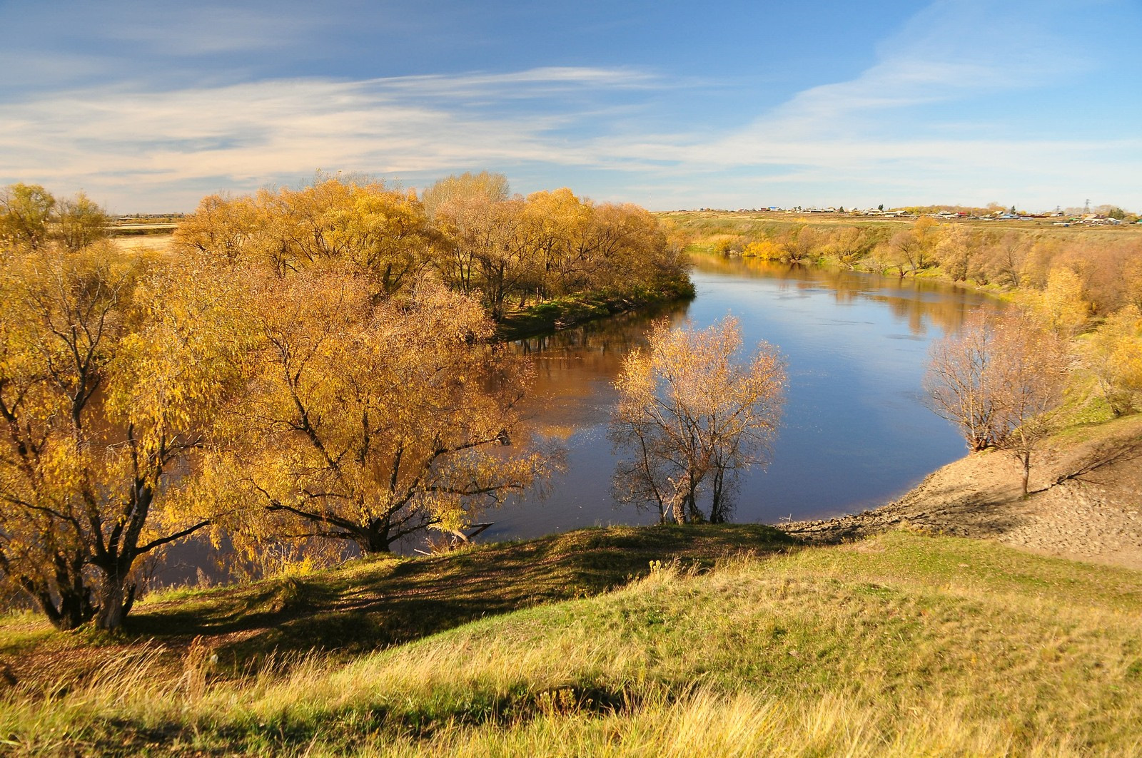 Погода в золотой омской. Река Омь в Калачинске. Золотая осень река Ишим. Река Омь Омская область. Река Омь в Омске.