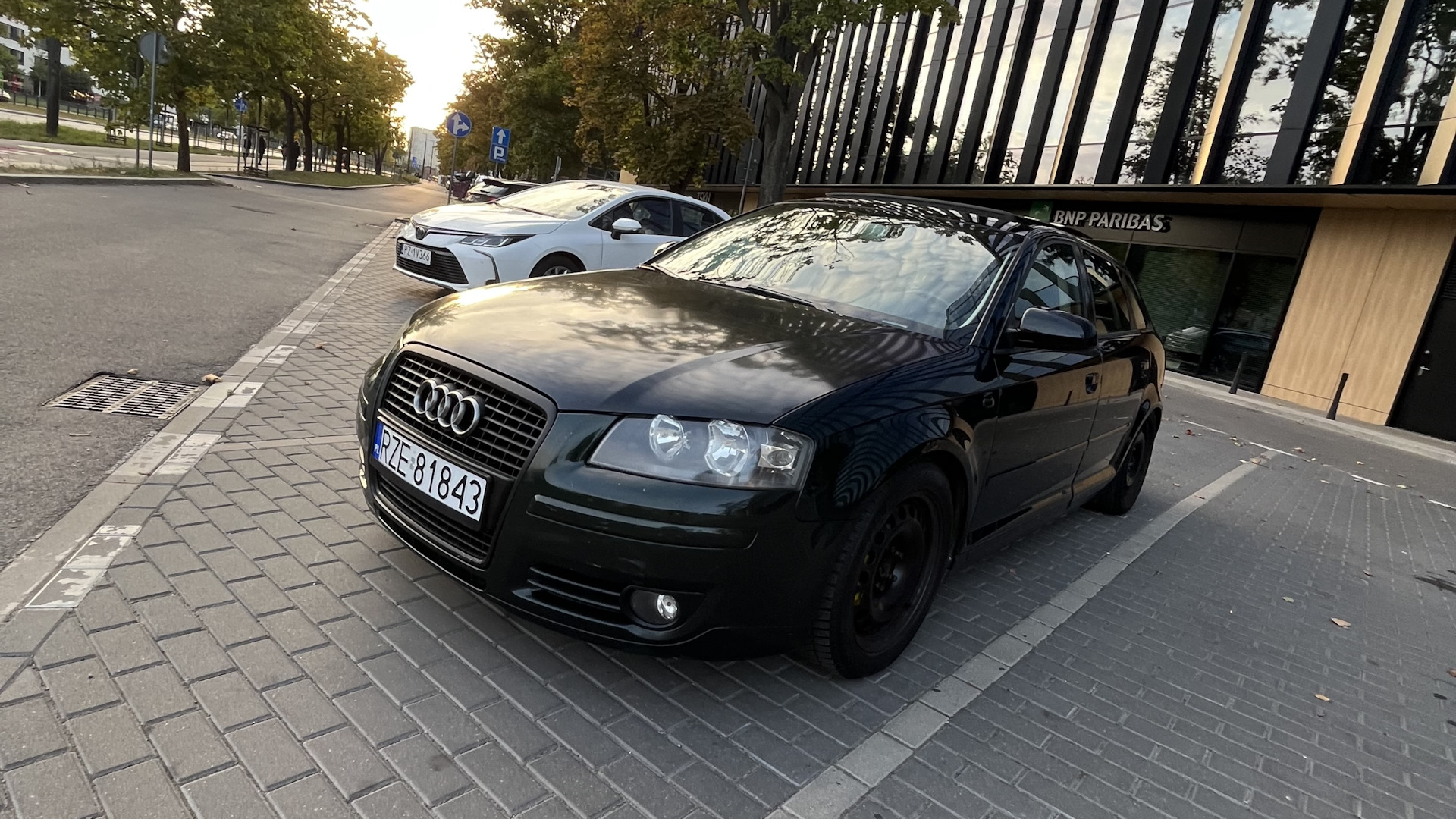 Audi A3 (8P) 2.0 бензиновый 2005 | Лягушка на DRIVE2