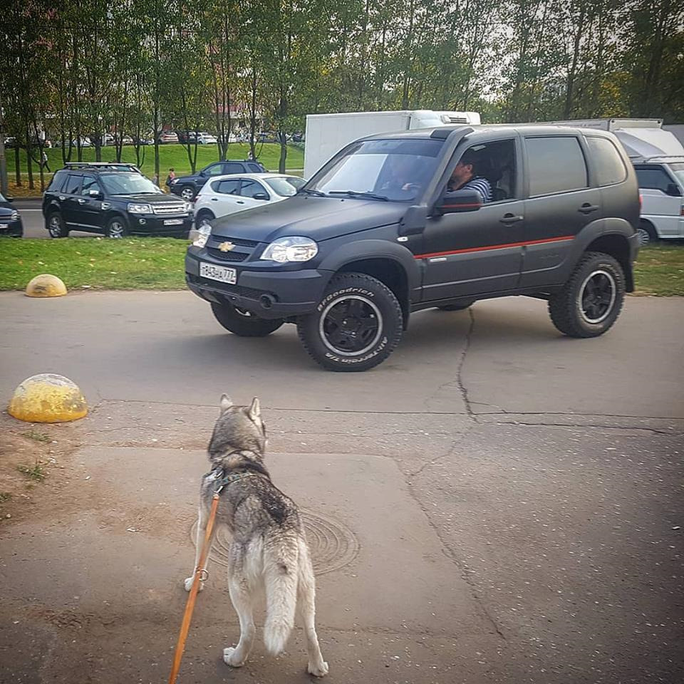 Только что продал Шевроле Ниву — Chevrolet Niva (1G), 1,7 л, 2012 года ...