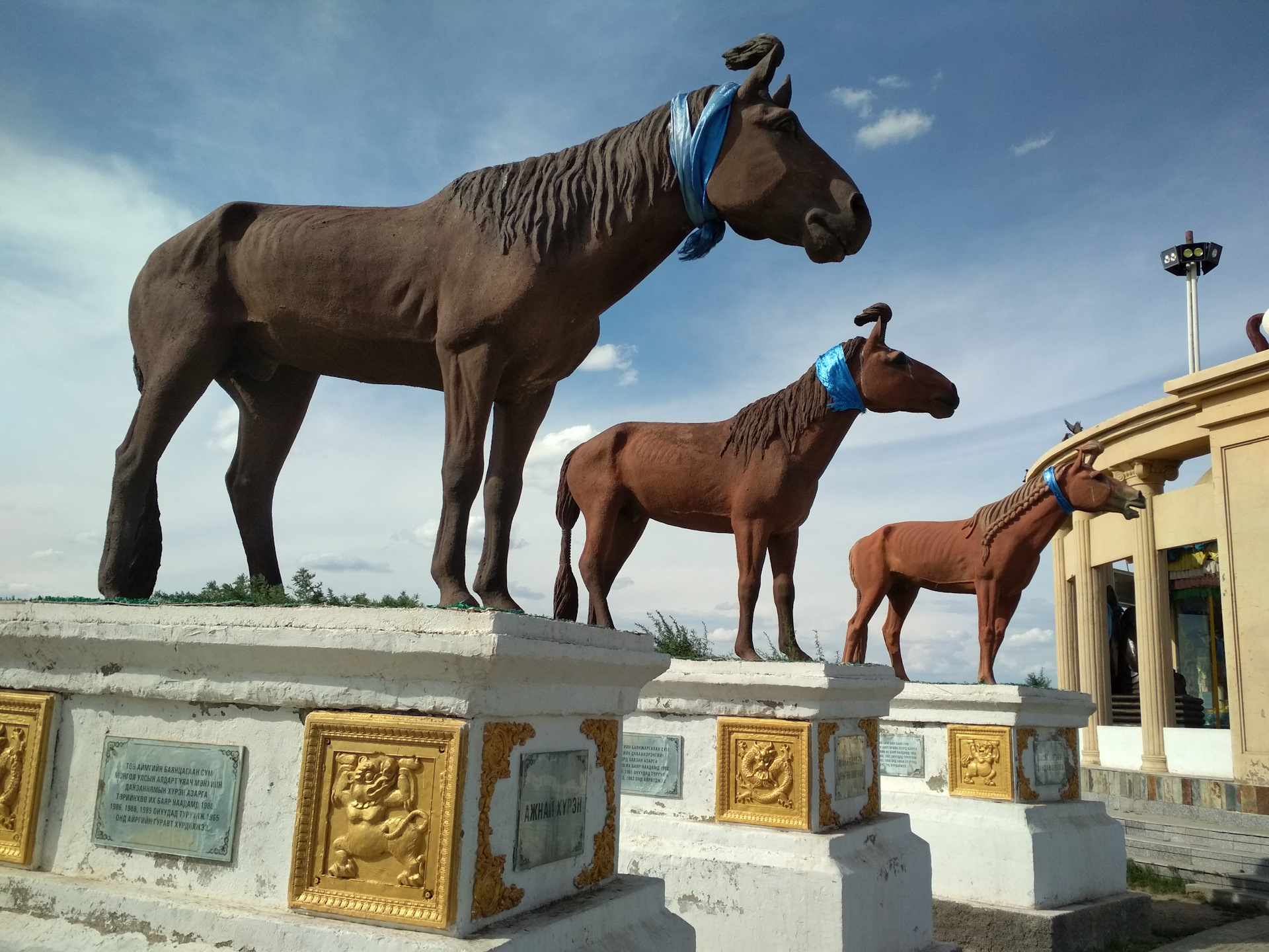 Арвайхээр. Арвайхээр Монголия город. Кладбище лошадей в Монголии. Арвайхээр конь. Монголия Арвайхээр в ч 52757.
