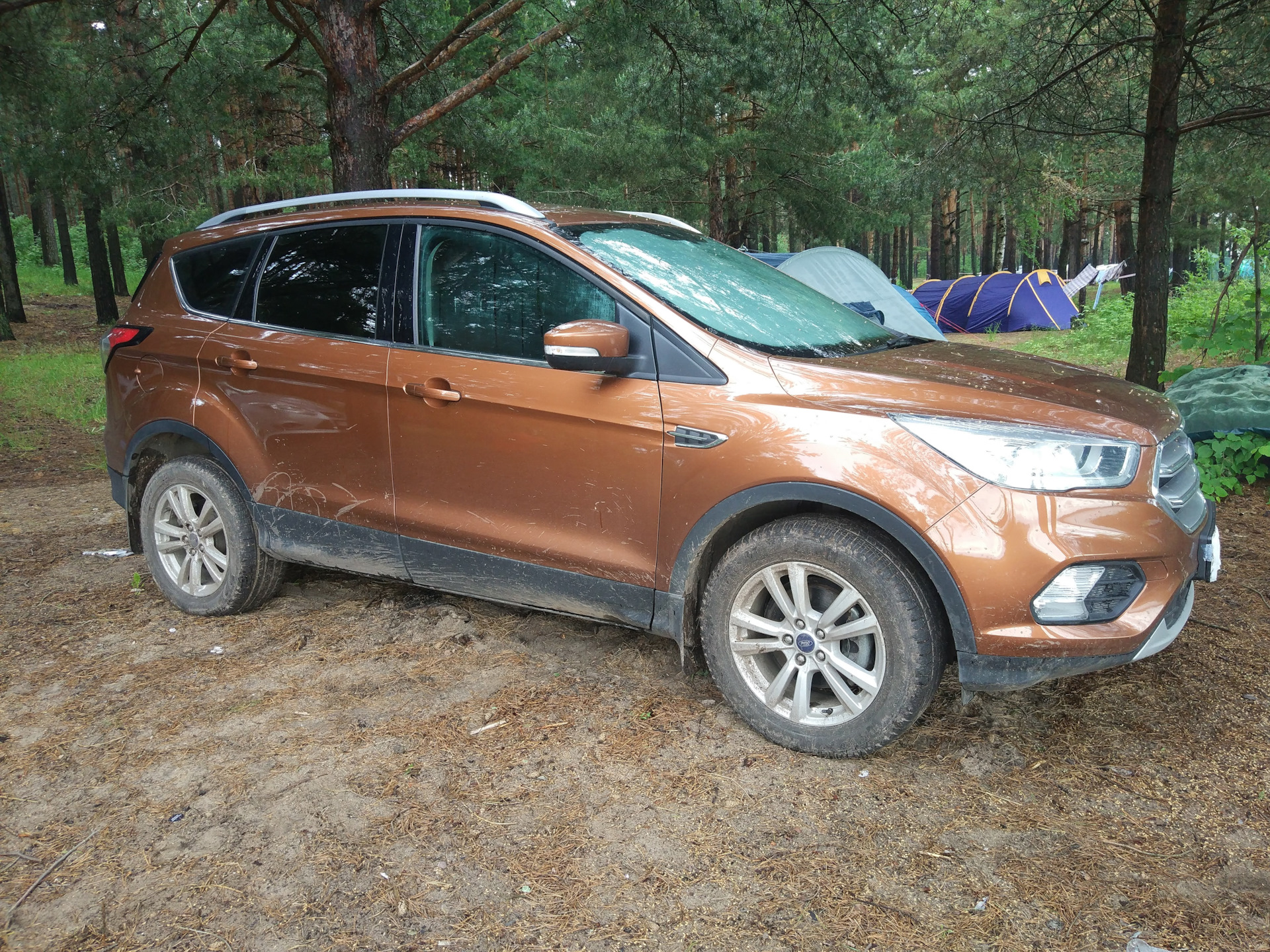 Ford kuga ремонт кнопки тучника. Клубный сервис форд. Защита бензобака форд куга 1. Обслуживание форд куга. Форд куга 1.