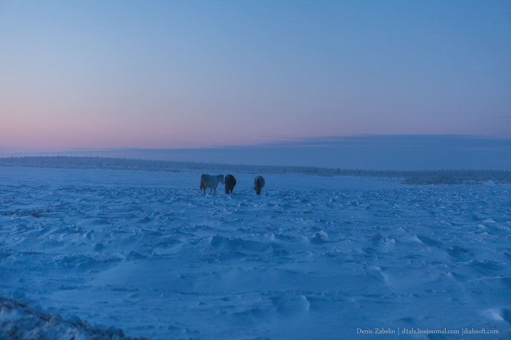 Arctic road. Автозимник Арктика. Дорога в Арктике. Автодорога Арктика.