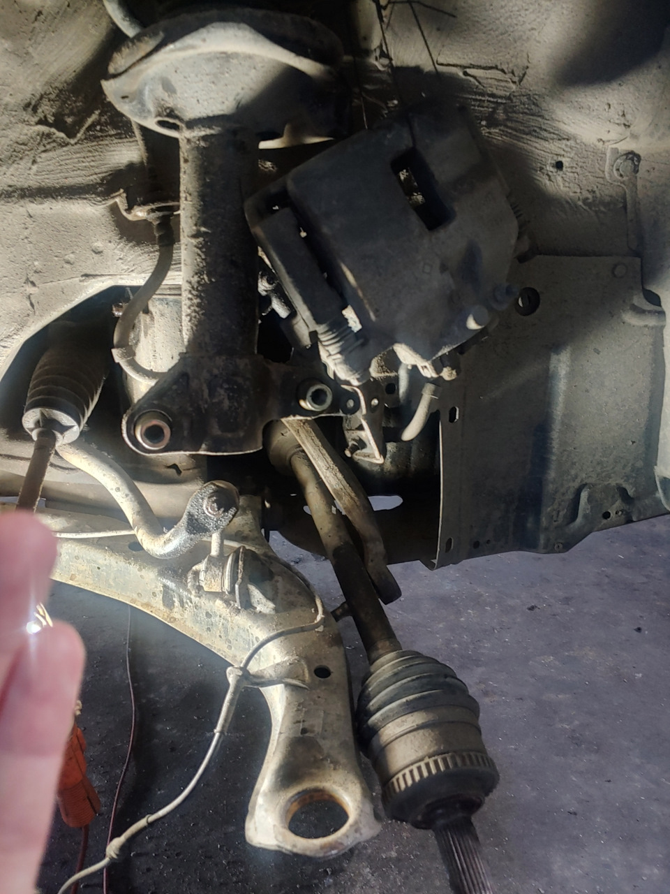 Фото в бортжурнале Nissan Primera (P12)