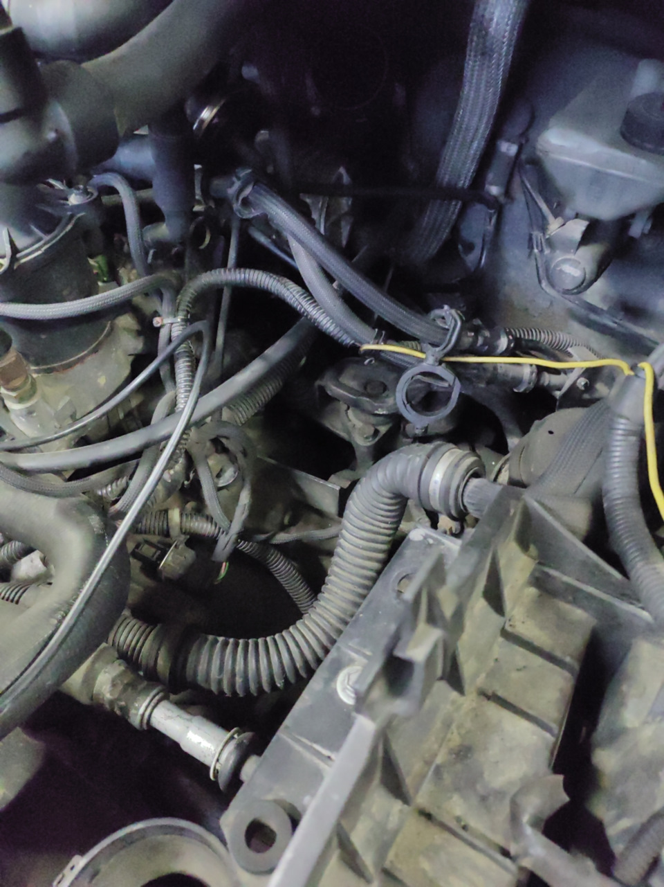 Фото в бортжурнале Citroen Evasion