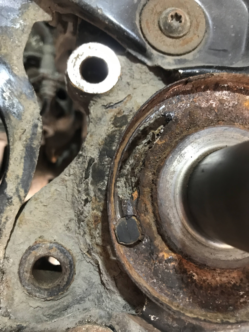 Плачевное состояние крышки — Skoda Superb Combi (Mk2)