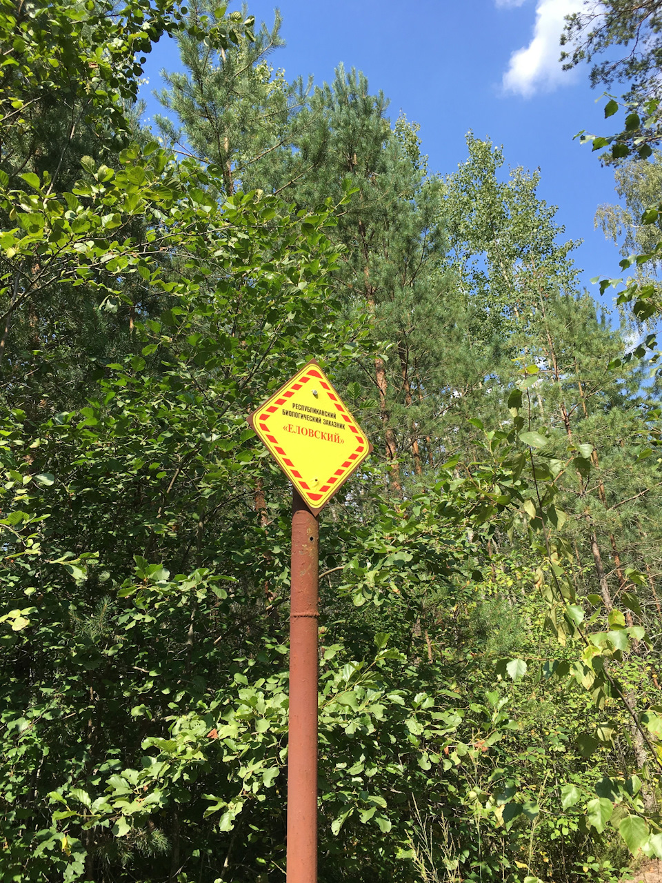 Озера Покамерские Полесье — УАЗ Patriot, 2,7 л, 2014 года | путешествие ...