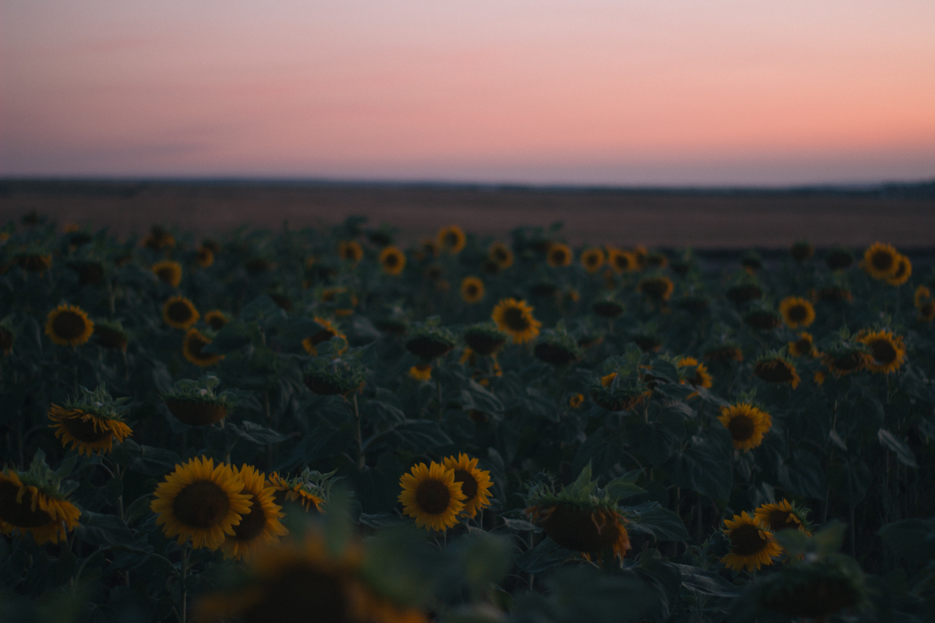 Лето 2020 — Lada 21041, 1,6 л, 2006 года | путешествие | DRIVE2