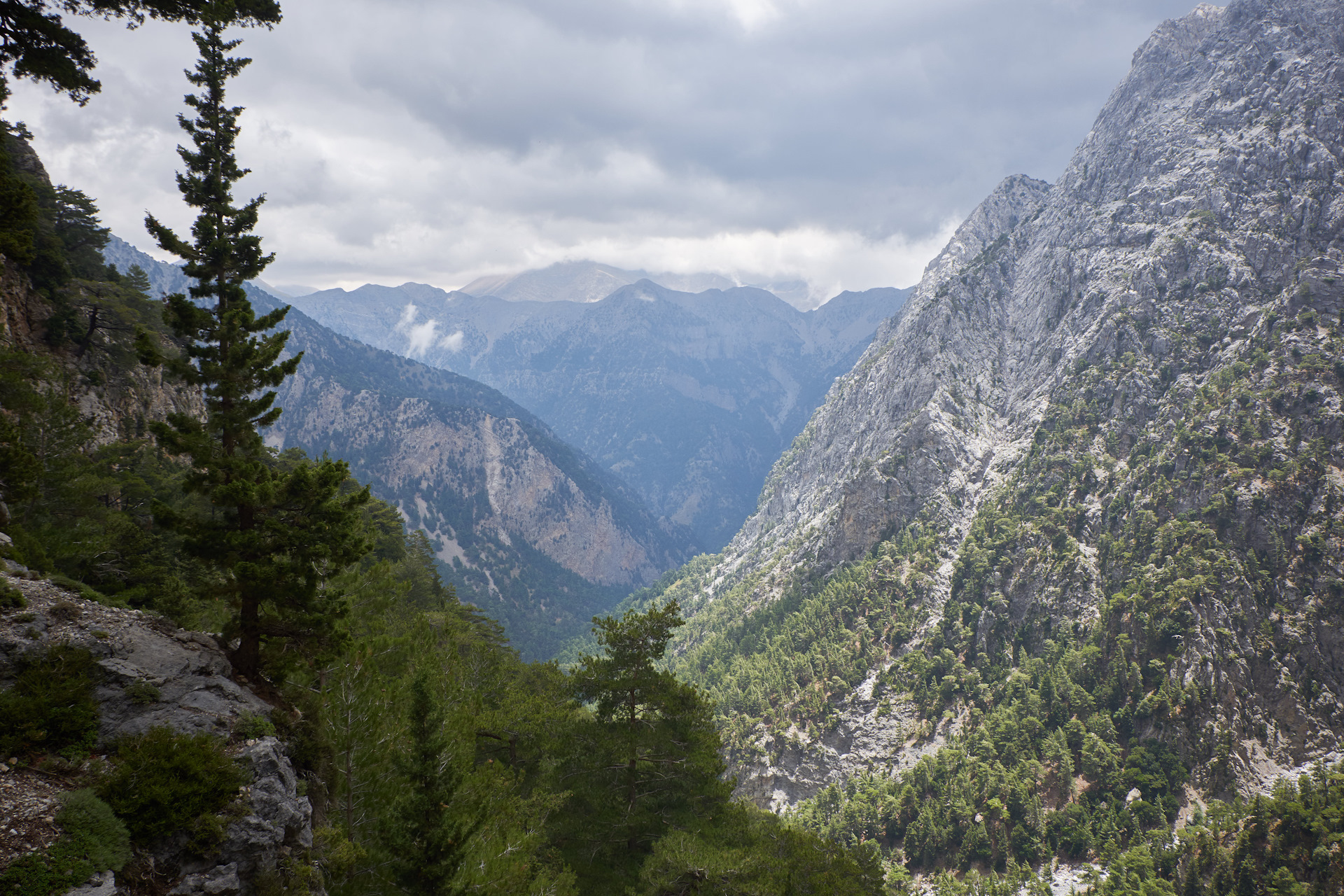 Самарийское ущелье. Самария. Самарийское ущелье фото. Самария Грэм.