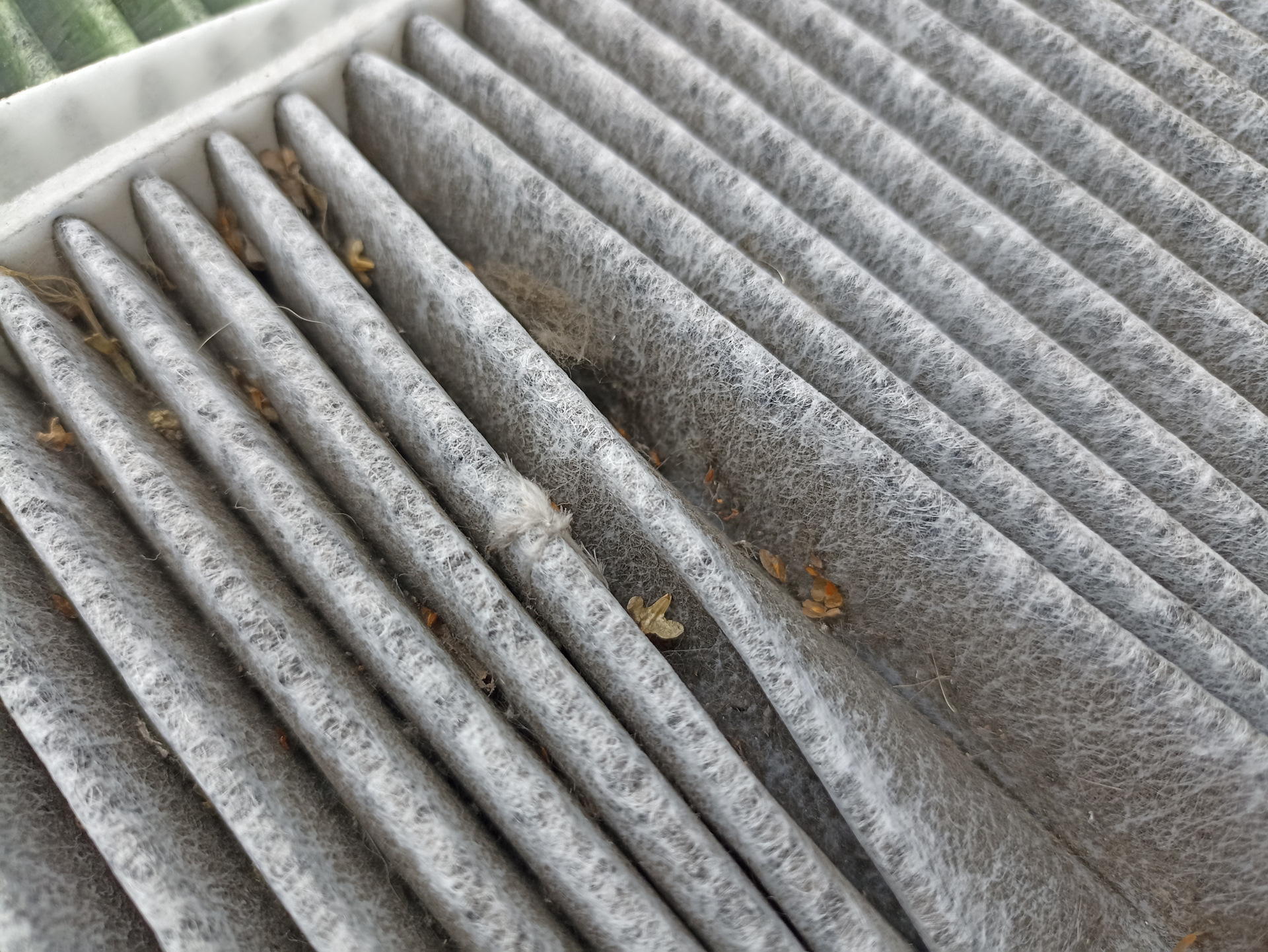 Фото в бортжурнале FAW T55