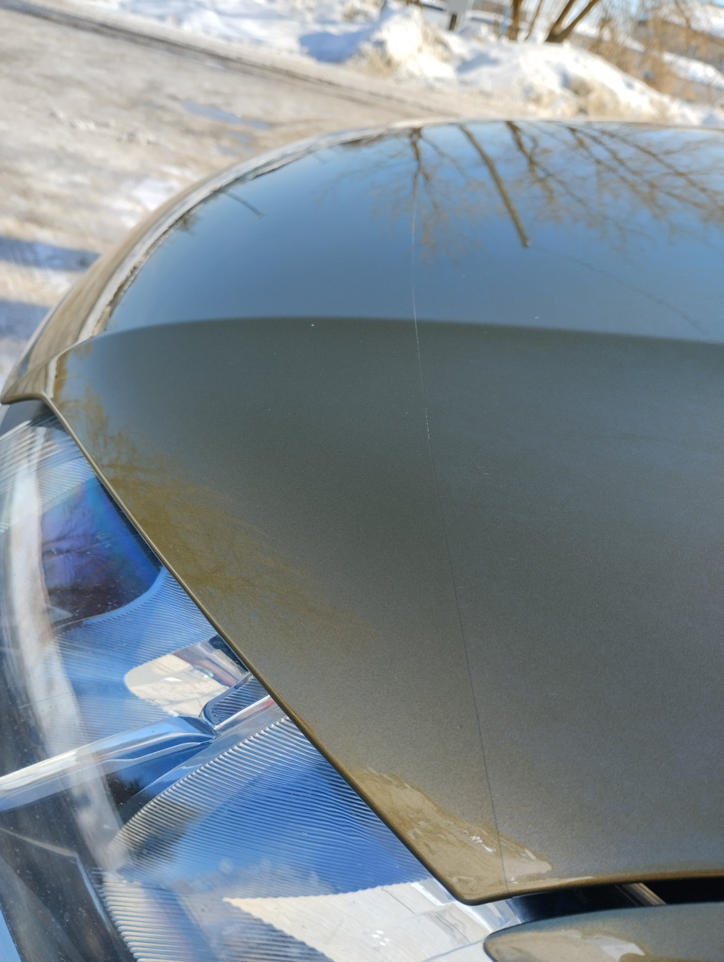 Защита капота — Renault Sandero Stepway (2G), 1,6 л, 2017 года ...