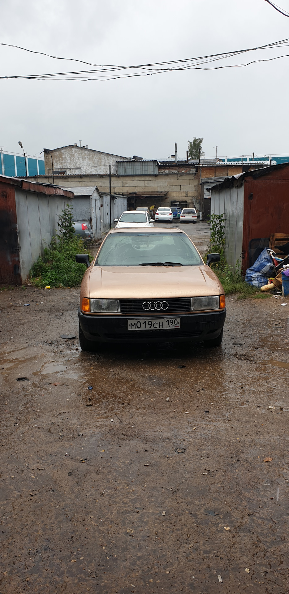 Да здравствует старая фрау) — Audi 80 (B3), 2 л, 1987 года | покупка машины  | DRIVE2