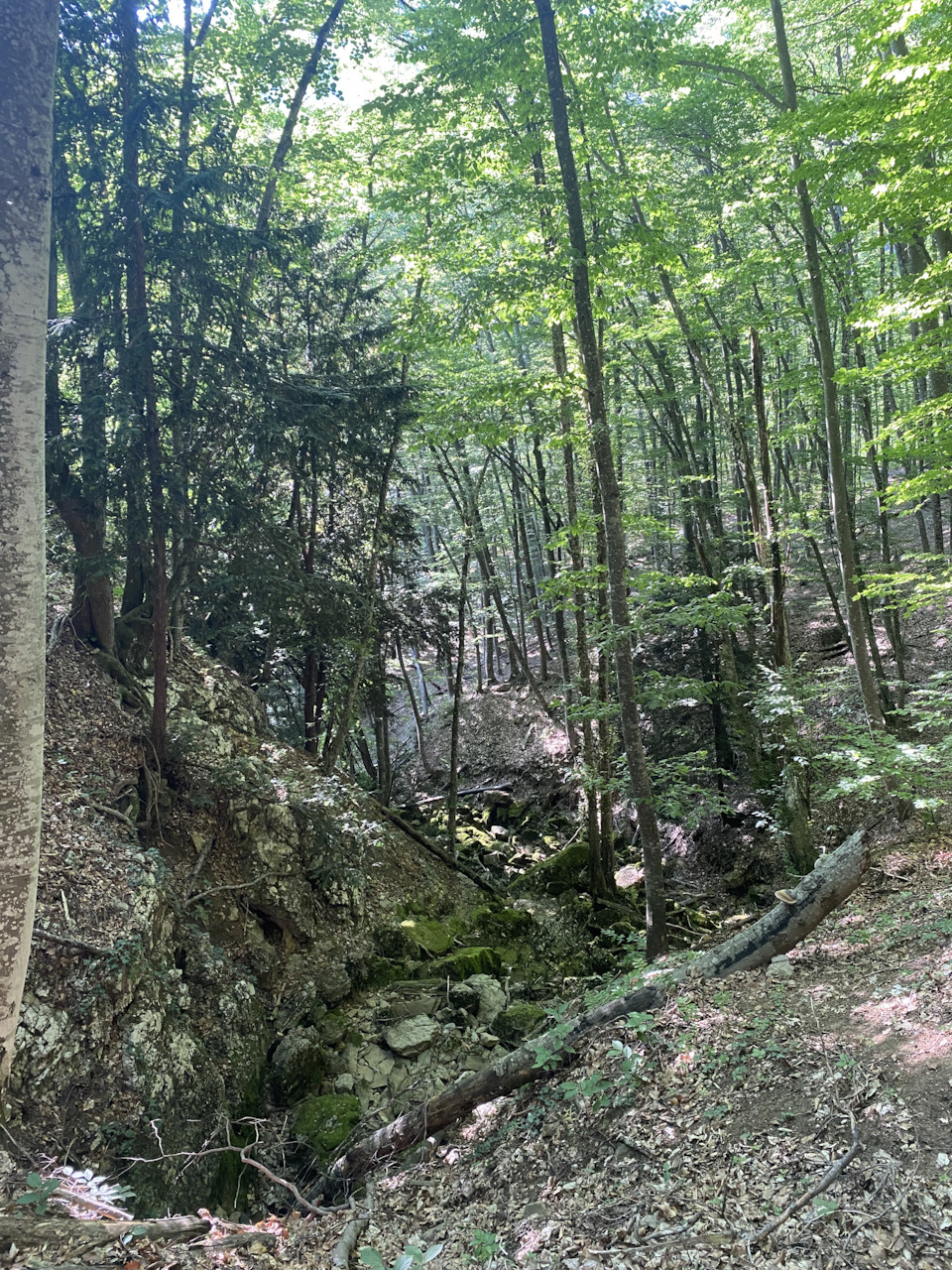 Фото в бортжурнале Haval Dargo