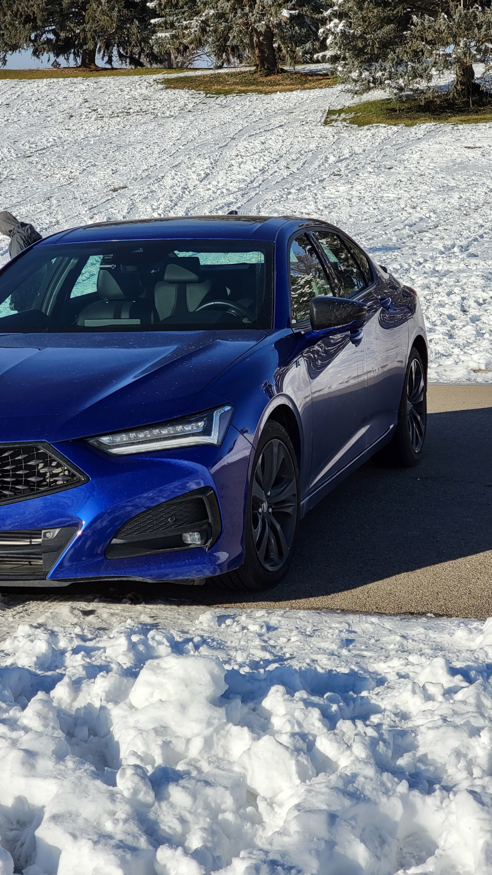 Мысли о машине спустя пол года. Много текста. — Acura TLX (2G), 2 л, 2021  года | наблюдение | DRIVE2