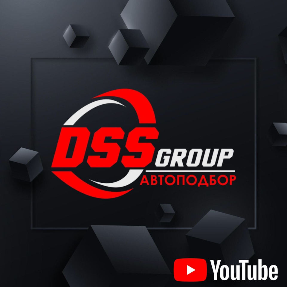 DSS Group автоподбор: отзывы, цены, фото