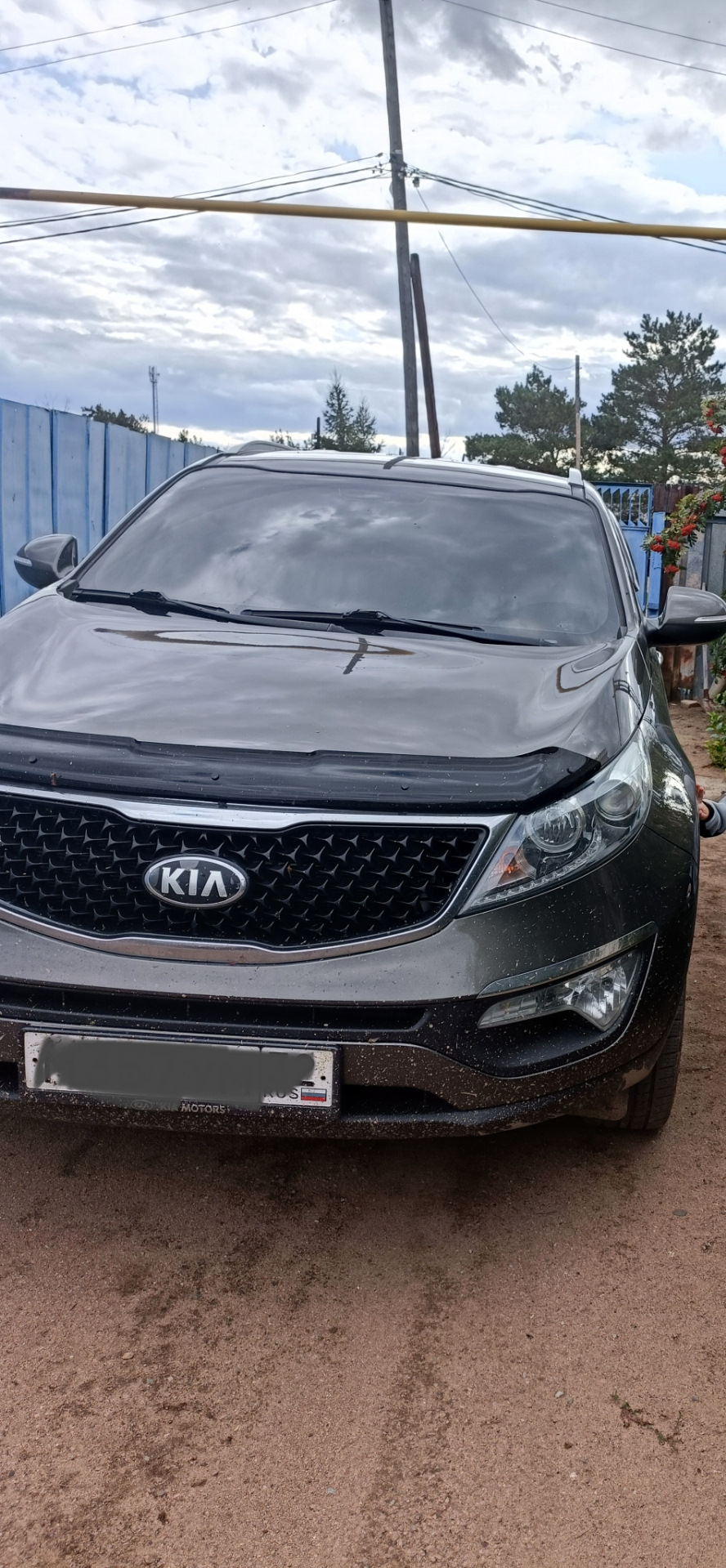 Мухобойка — KIA Sportage (3G), 2 л, 2014 года | стайлинг | DRIVE2