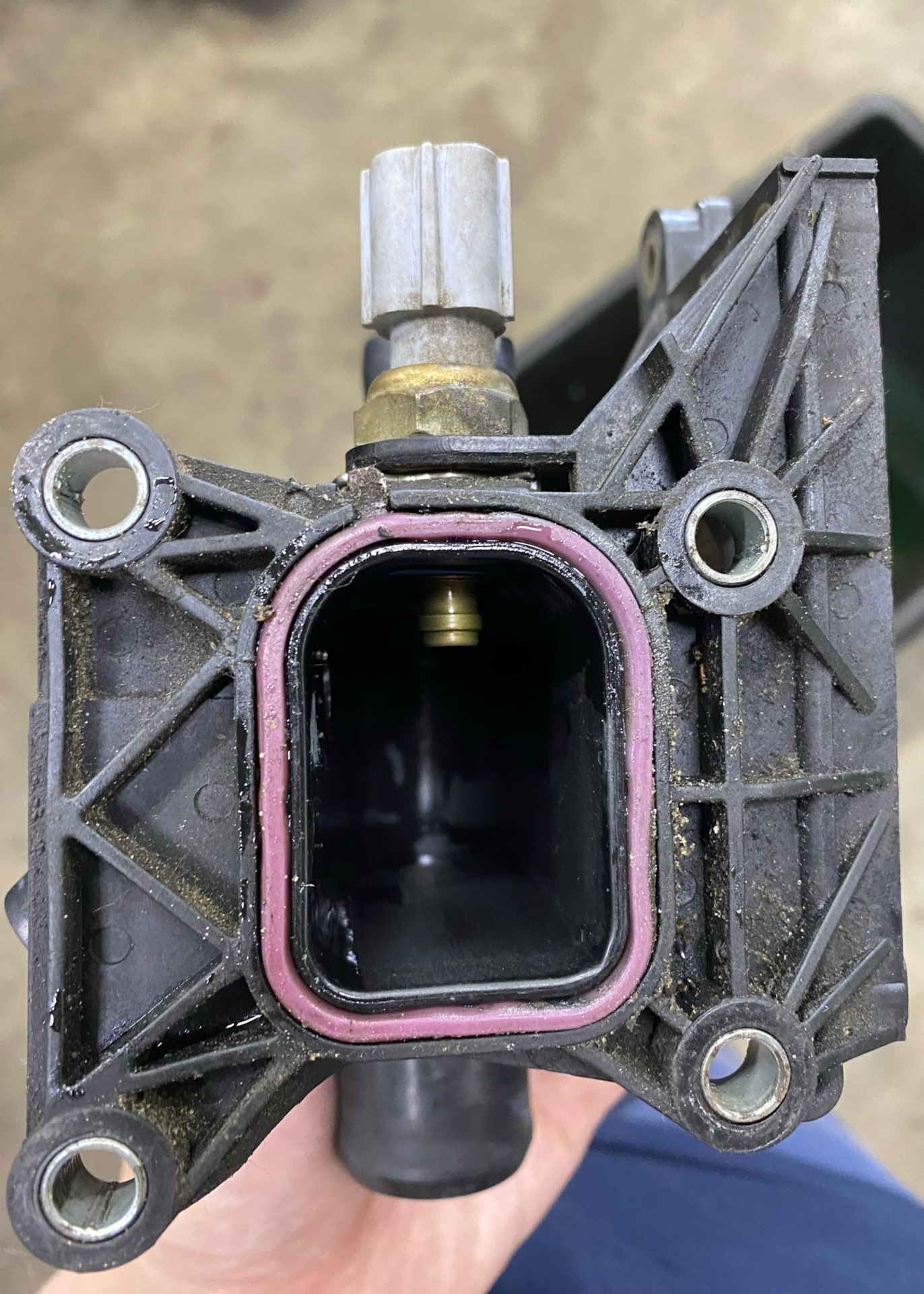 Замена распределителя ОЖ на Mazda 3 bk 2.0 — Mazda 3 (1G) BK, 2 л, 2008 ...