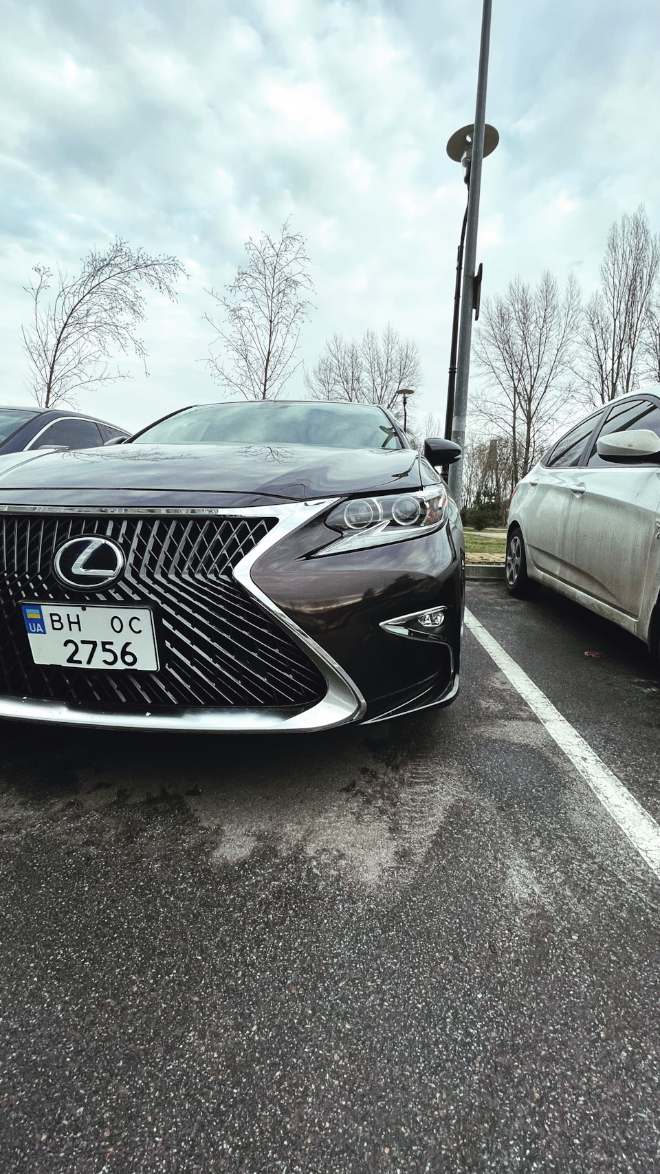 Твердый воск Soft99 12 month — Lexus ES (XV60), 2,5 л, 2013 года | мойка |  DRIVE2