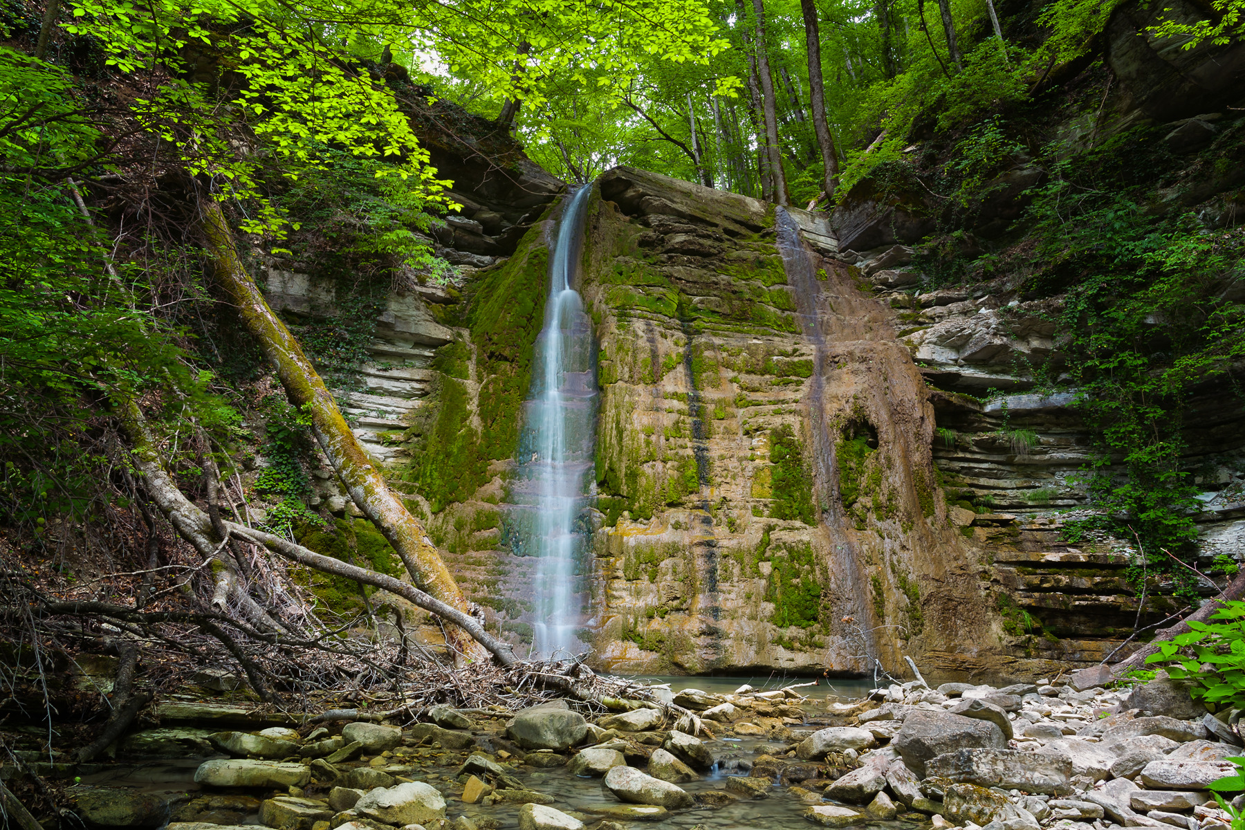 ����� �������� ���� ����������