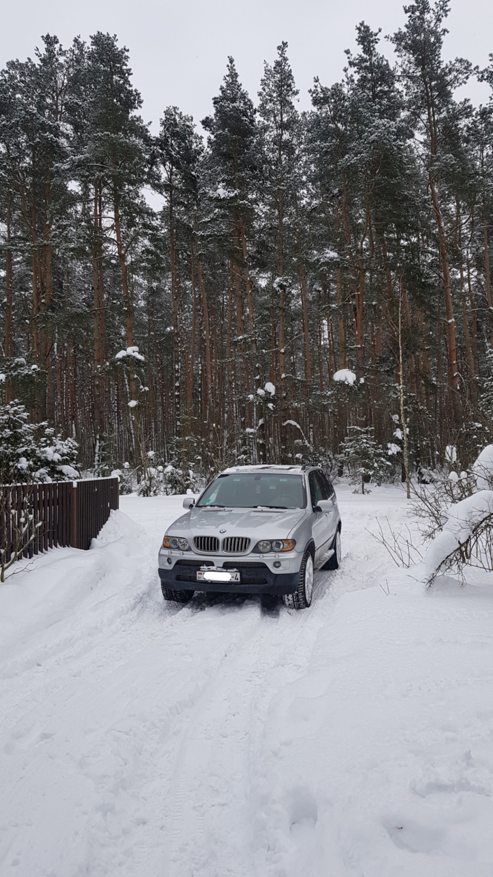 Фото в бортжурнале BMW X5 (E53)
