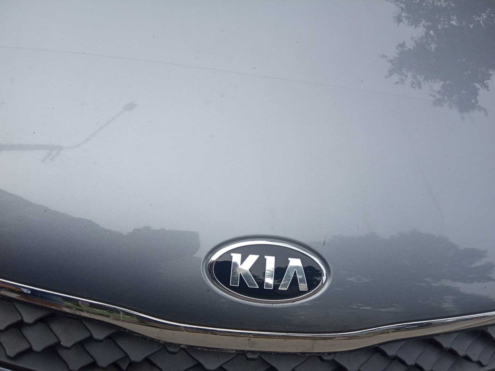 Бронирование пленкой капота — KIA Rio (4G), 1,6 л, 2021 года | другое ...