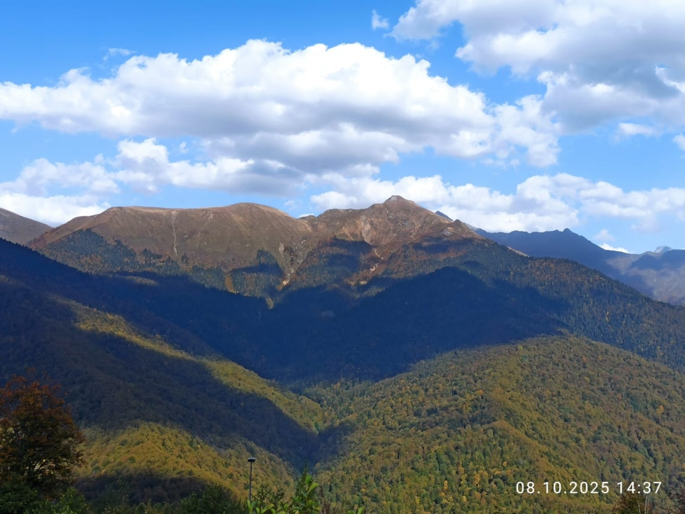 Фото в бортжурнале УАЗ Patriot