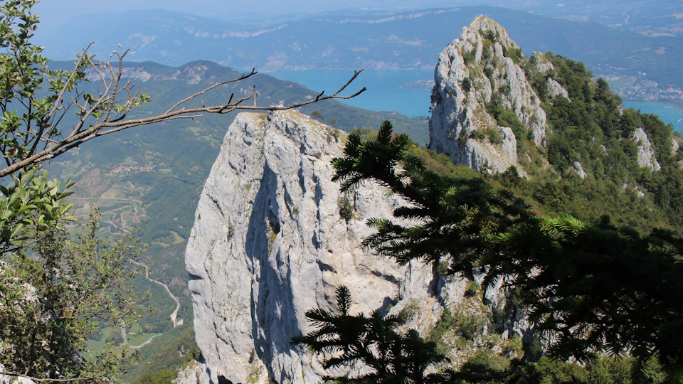 Овечью морду видите? — Audi A4 (B9)