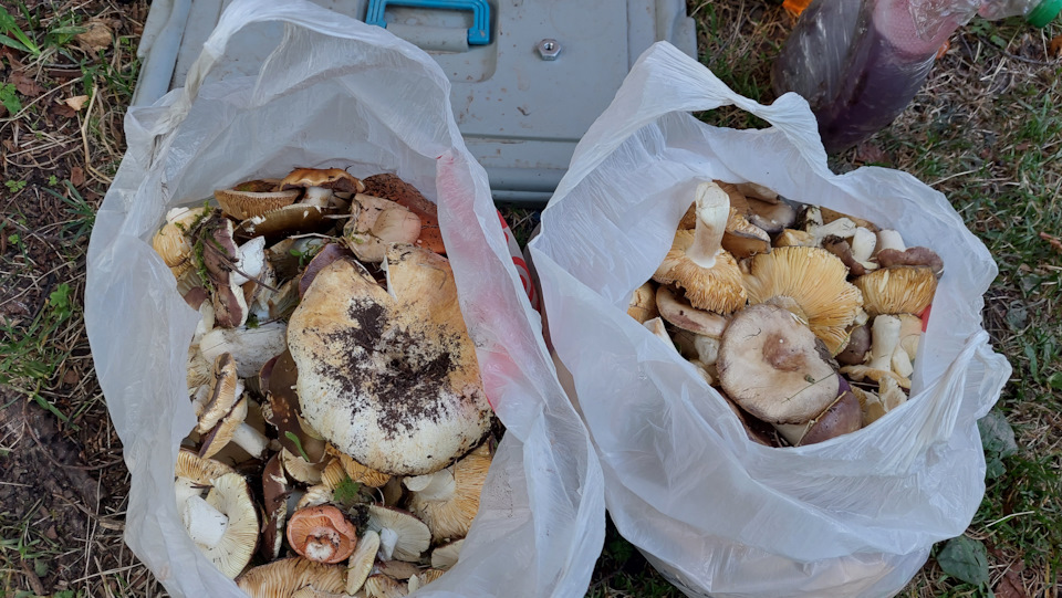 Фото в бортжурнале Mitsubishi Pajero (3G)