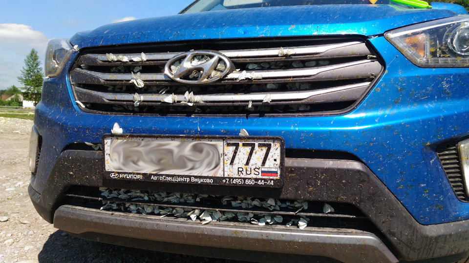 Попали в метель из бабочек. — Hyundai Creta (1G)