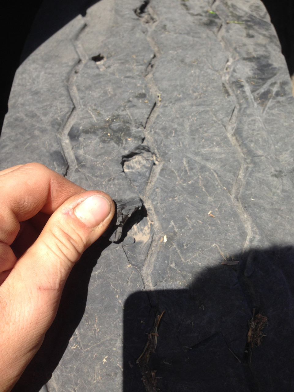 5 — КАМАЗ Золотарь