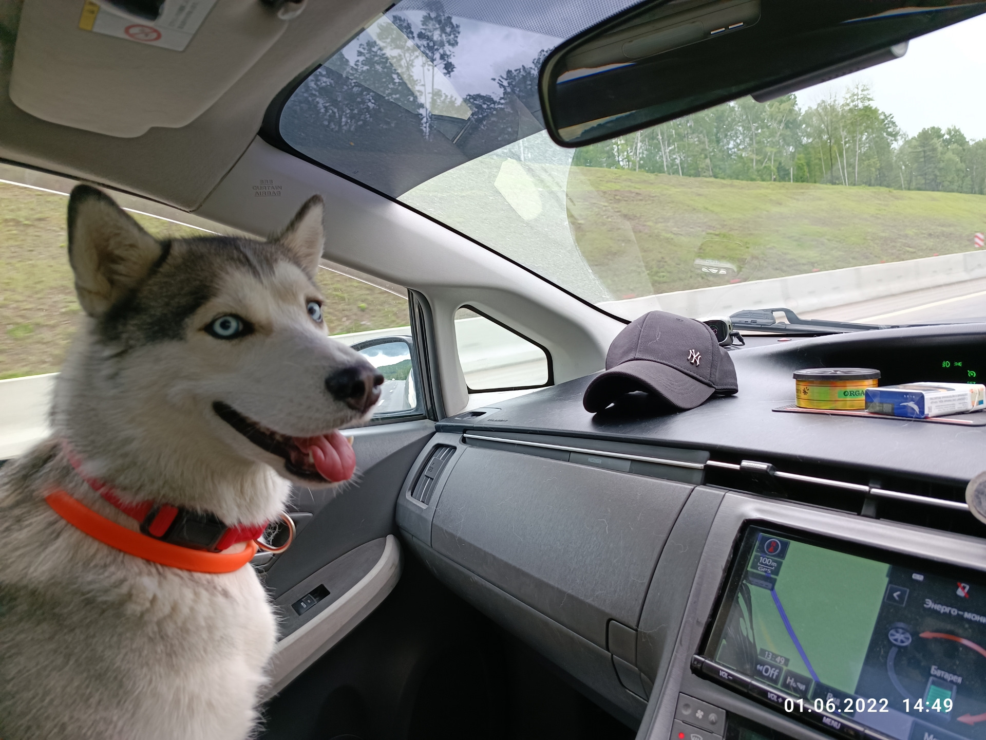 Первый дальний выезд. — Toyota Prius (30), 1,8 л, 2010 года | путешествие |  DRIVE2