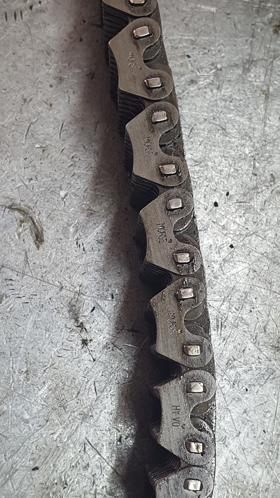 Фото в бортжурнале BMW X5 (E53)