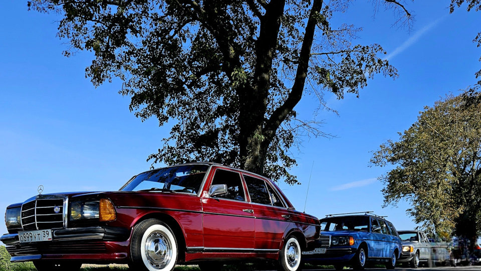 Mercedes-Benz W123