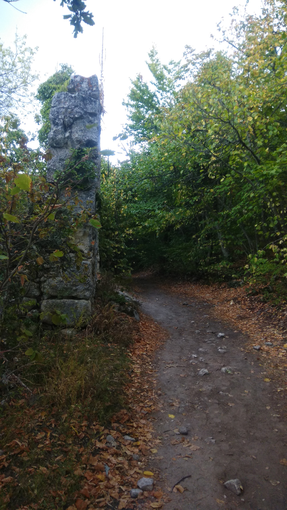 Фото в бортжурнале Ford Expedition (1G)