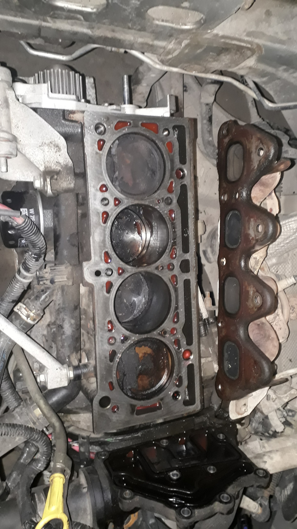 Фото в бортжурнале Renault Fluence