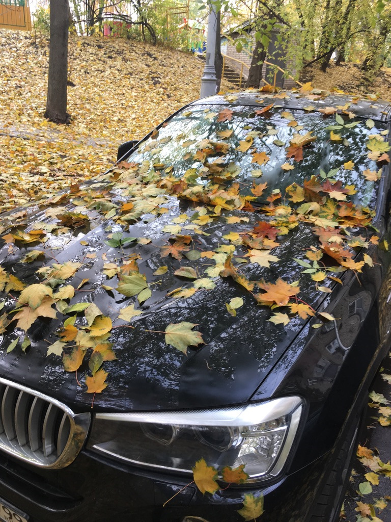 проекция bmw в двери. Смотреть фото проекция bmw в двери. Смотреть картинку проекция bmw в двери. Картинка про проекция bmw в двери. Фото проекция bmw в двери