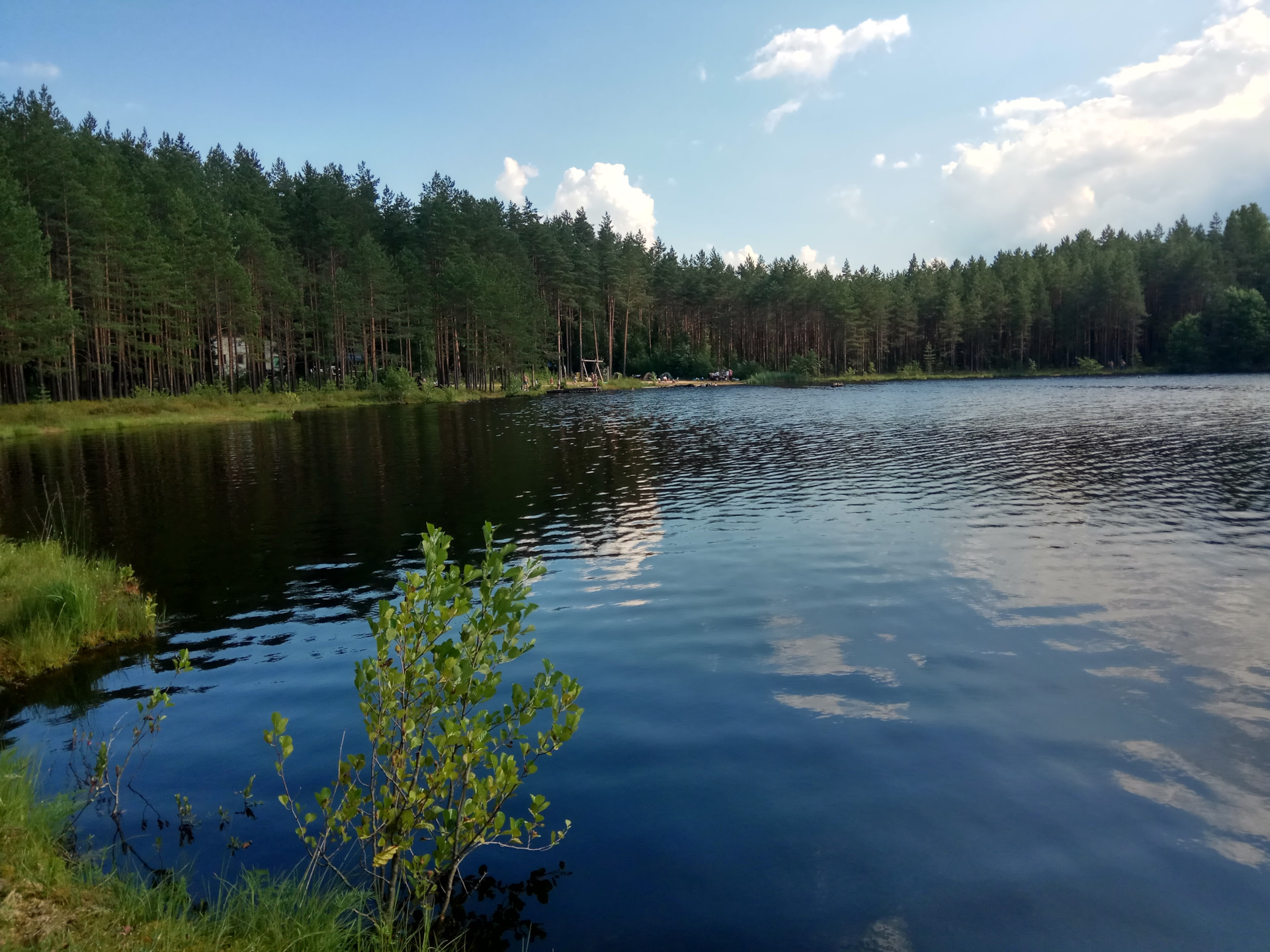 Озеро Лесное Нестеровского района