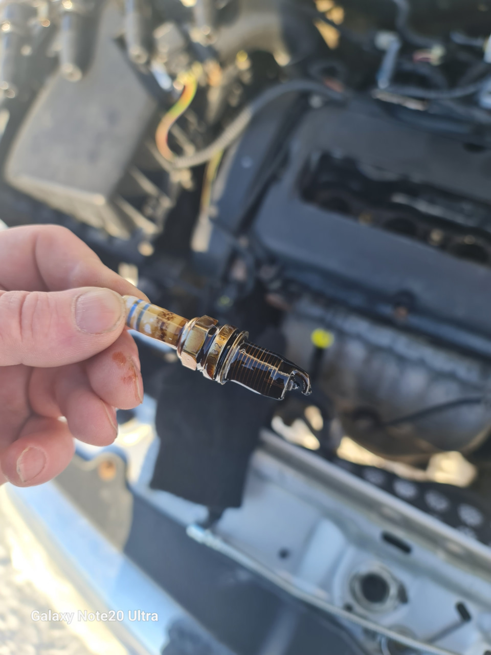 Свечи все в масле 😭 — Opel Vectra C